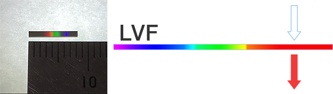 LVF